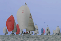 Il Trofeo Accademia Navale
spiega le vele a Livorno